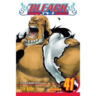 Viz Bleach Vol. 41 Paperback Manga