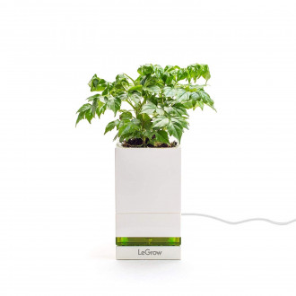Designnest® LeGrow |TG-P1| |Friendly Workplace| Έξυπνο γλαστράκι - φορτιστής Quick Charge 3.0